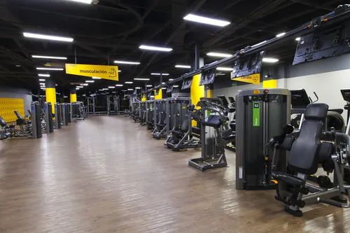 Imagem de Zona de musculación